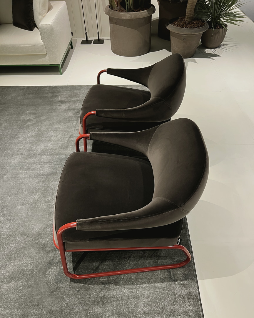 a single element with curved and sinuous lines 